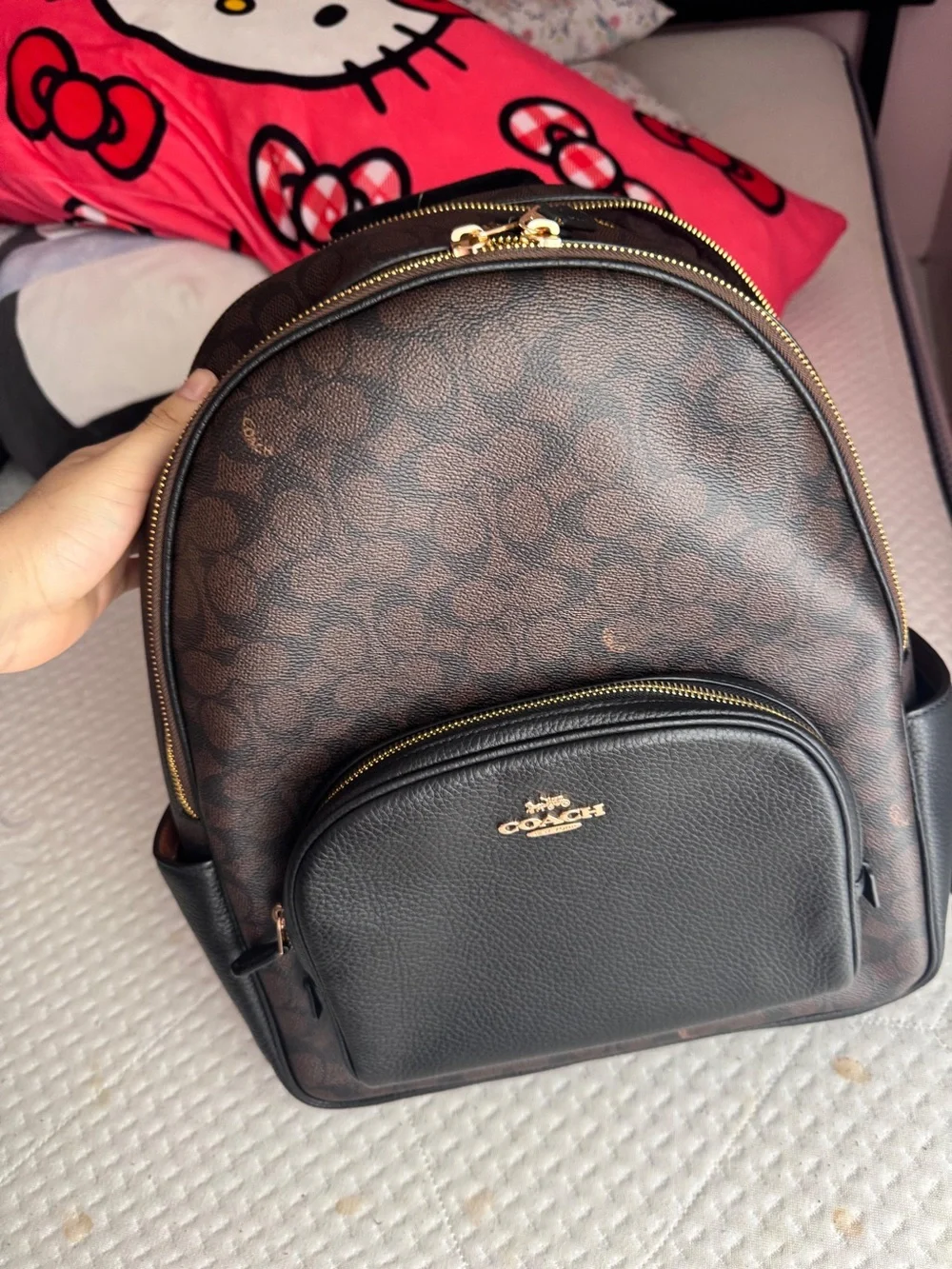 Large Coach Backpack
